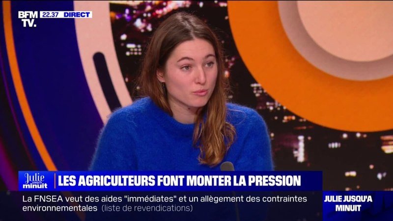 Camille Etienne en interview sur le plateau de BFM TV