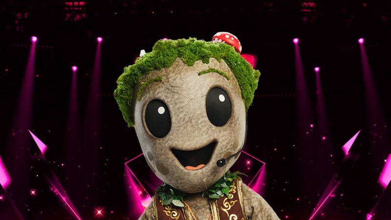 Costume du personnage Le Caillou de Mask Singer