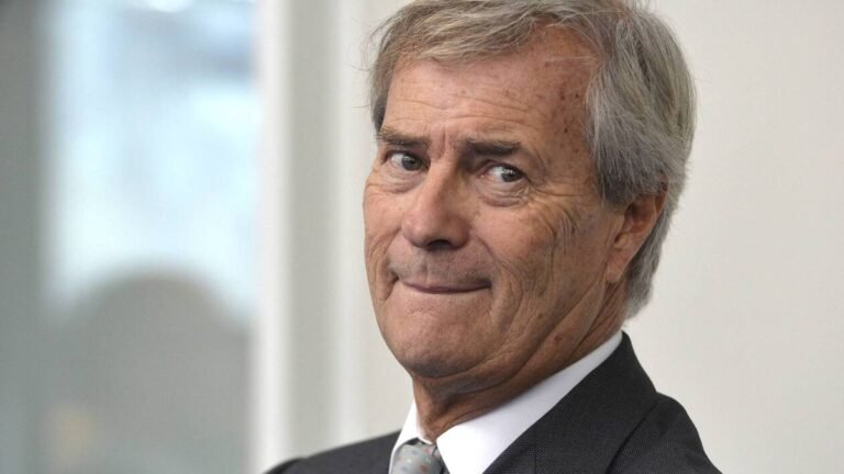 Portrait officiel de Vincent Bolloré