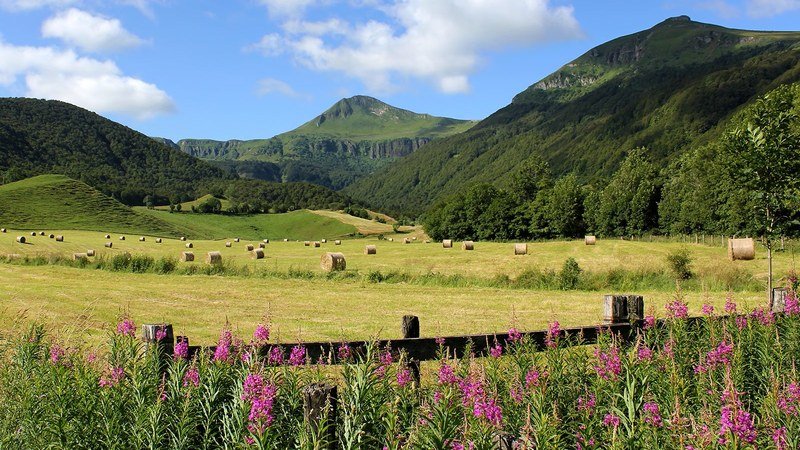 Paysage estival en Auvergne