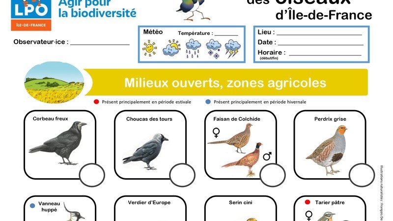 Logo et activités de la LPO pour le recensement des oiseaux