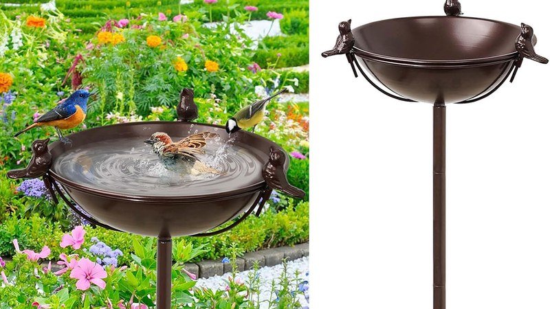 Bassin d'eau pour oiseaux installé dans un jardin